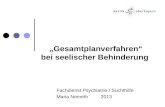 Gesamtplanverfahren bei seelischer Behinderung Fachdienst Psychiatrie / Suchthilfe Maria Nemeth 2013.