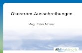 Ökostrom-Ausschreibungen Mag. Peter Molnar. Anteile Energieträger Ö 2 Quelle: Statistik Austria 2008.