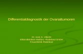 Differentialdiagnostik der Ovarialtumoren Dr. med. K. Ulbicht Elblandkliniken Meißen –Radebeul GmbH Frauenklinik Radebeul.