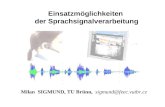 Einsatzmöglichkeiten der Sprachsignalverarbeitung Milan SIGMUND, TU Brünn, sigmund@feec.vutbr.cz.