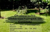 Ökologische Untersuchungen im Gelände Name: Isabell Schweyen Klasse: 9d Zeitabschnitt:22. – 28. Mai 2009 Standort: Wiese im Garten (Saalenähe)