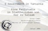 E-Government in Tansania – Eine Fallstudie in Stadtbezirken von Dar es Salaam Erika Cammi Hochschule Pforzheim Master of Information Systems Januar 2006.