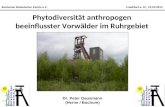Phytodiversität anthropogen beeinflusster Vorwälder im Ruhrgebiet Bochumer Botanischer Verein e.V. Frankfurt a. M., 19.10.2013 Dr. Peter Gausmann (Herne.