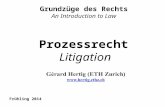 Prozessrecht Litigation Grundzüge des Rechts An Introduction to Law Frühling 2014.