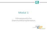 Modul 1 Hämatopoetische Stammzelltransplantation.