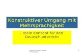 Ingelore Oomen-Welke PH Freiburg 1 Konstruktiver Umgang mit Mehrsprachigkeit – mein Konzept für den Deutschunterricht.