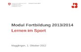 Modul Fortbildung 2013/2014 Lernen im Sport Magglingen, 1. Oktober 2012.
