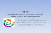 FEES Fragebogen zur Erfassung emotionaler und sozialer Schulerfahrungen von Grundschulkindern Beratungs- und Förderzentrum der Dezentralen Förderschule.