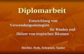 Diplomarbeit Entwicklung von Verwendungsstrategien für Rinden und Hölzer von tropischen Bäumen Büchler, Roth, Schramek, Tauber.