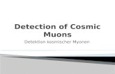 Detektion kosmischer Myonen 1. Myonendetektion Szintillatoren NIM VME Steuerung der Datenerfassung Auswertung Anwendung Vulkane Cern (VMEbus) Quellen