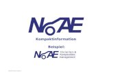 NoAE InformationSeite 1 Kompaktinformation Beispiel: