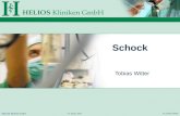 HELIOS Kliniken GmbH 10. Januar 2005 Dr. Tobias Witter Schock Tobias Witter