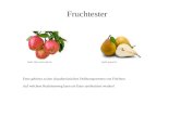 Quelle: klima-sucht-schutz.deQuelle: gomeal.de Fruchtester Ester gehören zu den charakteristischen Duftkomponenten von Früchten. Auf welchem Reaktionsweg.