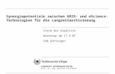 LEHRGEBIET RECHNERARCHITEKTUR Prof. Dr.-Ing. Wolfram Schiffmann Stand der Expertise Workshop am 17.4.07 SUB Göttingen Synergiepotentiale zwischen GRID-