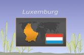 Luxemburg. Die geografische Lage Das Groherzogtum Luxemburg liegt in Westeuropa zwischen der BRD, Belgien und Frankreich. Luxemburg nimmt eine Fl¤che