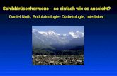Schilddrüsenhormone – so einfach wie es aussieht? Daniel Noth, Endokrinologie- Diabetologie, Interlaken.