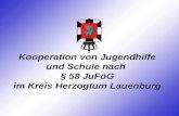 Kooperation von Jugendhilfe und Schule nach § 58 JuFöG im Kreis Herzogtum Lauenburg.