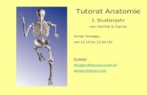 Tutorat Anatomie 1.Studienjahr von Harriet & Danilo Immer montags, von 12.10 bis 12.55 Uhr Kontakt: hriegger@access.unizh.ch dantom@ticino.com.