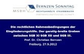 Die rechtlichen Rahmenbedingungen der Eingliederungshilfe. Der garstig-breite Graben zwischen SGB XI SGB XII und SGB III. Prof. Dr. Christian Bernzen Freiburg,