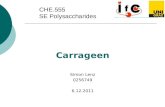 CHE.555 SE Polysaccharides Carrageen Simon Lenz 0256749 6.12.2011.