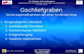 Ing. Peter Buchacher DI Dr. Johann Angerer DI Michael Schiffer Grund-, Pfahl- und Sonderbau die.wildbach und lawinenverbauung 24. Christian Veder Kolloquium.