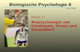 Kapitel 17 Biopsychologie von Emotionen, Stress und Gesundheit Biologische Psychologie II Peter Walla