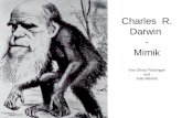 Charles R. Darwin - Mimik Von Silvia Flotzinger und Julia Maricic.