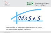 Modellvorhaben zur Stärkung der Selbstständigkeit von Schulen Potsdam, Juni 2007 Ein Modellvorhaben des MBJS Brandenburg.