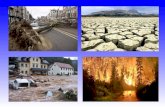 Gliederung: 1.Ursache für den Klimawandel 2.Folgen für die Natur 3.Folgen für die Wirtschaft 4.Folgen für Mensch und Tier