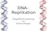 DNA- Replikation PowerPoint-Learning von Andrea Brügger.