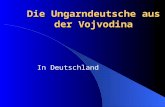 Die Ungarndeutsche aus der Vojvodina In Deutschland.