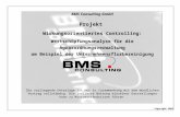 BMS Consulting GmbH Wirkungsanalyse ÄfAO – Seite 1 Dr. T. Mosiek BMS Consulting GmbH Projekt Wirkungsorientiertes Controlling: Wertschöpfungsanalyse für.