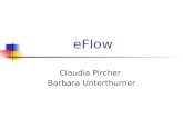 EFlow Claudia Pircher Barbara Unterthurner. eFlow2 Inhalt Einführung und Motivation Überblick über eFlow Dynamic Service Discovery Multiservice Nodes.