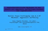 © S. Signer-Fischer 1 Hypnotherapeutische Methoden in der Arbeit mit aggressiv auffälligen Kindern und Jugendlichen Berlin Tesya Fachtagung vom 8.2.07.