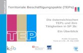 Territoriale Beschäftigungspakte (TEPs) Die österreichischen TEPs und ihre Tätigkeiten in SP 3b: Ein Überblick Anette Scoppetta, Kooo am ZSI, 29. Mai 2009.