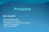 Eine Auswahl - Phänologieprojekt - Wolkenbeobachtung - Teilnahme am Wissenschaftsjahr - DESY: Vakuumlabor - Ameisenprojekt.