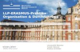 Universität Münster Career Service Andrea Schröder LLP-ERASMUS-Praktika: Organisation & Durchführung.