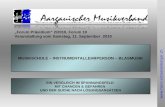 Www.heinz-schoenenberger.ch MUSIKSCHULE – INSTRUMENTALLEHRPERSON – BLASMUSIK EIN VERGLEICH IM SPANNUNGSFELD MIT CHANCEN & GEFAHREN UND DER SUCHE NACH LÖSUNGSANSÄTZEN.