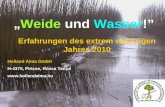 Weide und Wasser! Holland Alma GmbH H-4375, Piricse, Rózsa Tanya  Erfahrungen des extrem wässrigen Jahres 2010.