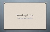 Meningitis Hirnhautentzündung. Erreger O Viren O Bakterien O z. B. Meningokokken, Pneumokokken O Pilze O Parasiten O Generelle Entzündungen im Körper.