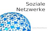 Soziale Netzwerke Carina Wassertheurer. Was ist ein Soziales Netzwerk?