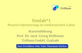 Simlab ® 1 Prozess-Optimierung im medizinischen Labor Kurzeinführung Prof. Dr. med. Georg Hoffmann Trillium GmbH, Grafrath Trillium GmbH Zum Fortfahren.