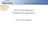 EDV unterstütztes Projektmanagement Fluch und Segen.