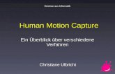 Human Motion Capture Ein Überblick über verschiedene Verfahren Seminar aus Informatik Christiane Ulbricht.