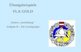 Übungsbeispiele FLA GOLD Station Ausbildung Aufgabe B – Die Löschgruppe