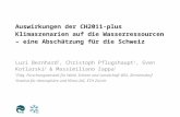 Auswirkungen der CH2011-plus Klimaszenarien auf die Wasserressourcen – eine Abschätzung für die Schweiz Luzi Bernhard 1, Christoph Pflugshaupt 1, Sven.
