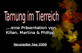 … eine Präsentation von Kilian, Martina & Philipp Neusiedler See 2009.