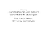4. Vorlesung: Schizophrenie und andere psychotische Störungen Prof. László Tringer Universität Semmelweis.