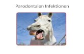 Parodontalen Infektionen. Alptraum der Patienten.
