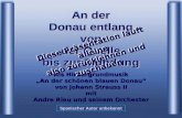 Als Hintergrundmusik An der schönen blauen Donau von Johann Strauss II mit Andre Rieu und seinem Orchester Spanischer Autor unbekannt Diese Präsentation.
